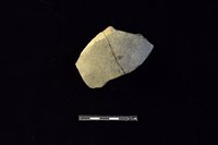 藏品(陶片)的圖片